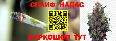 спиды Ирбит